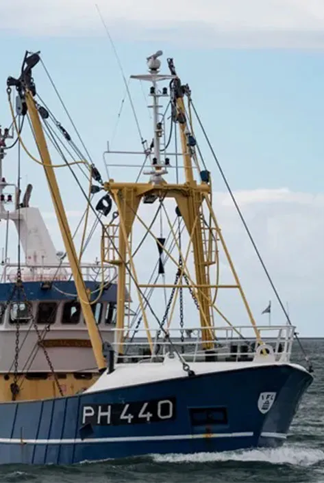 Admiralty & Maritime Laws