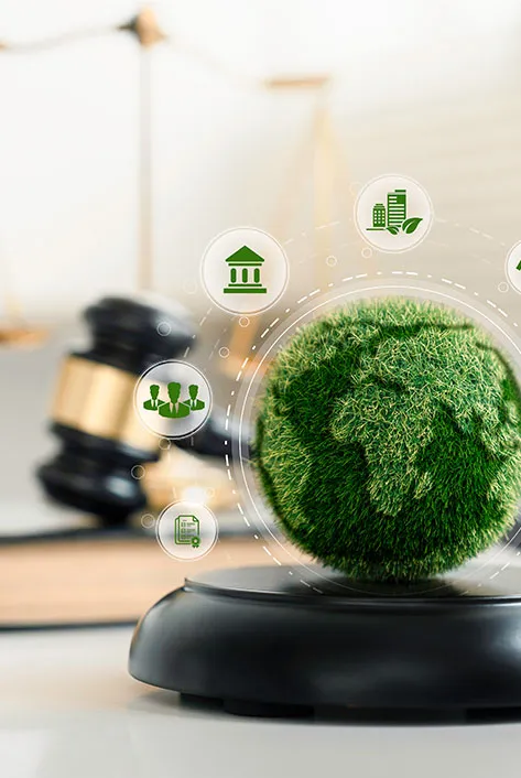 Environmental Law